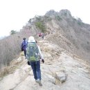 평화동017 이미지