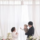 파티수 이미지