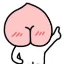국제매니아