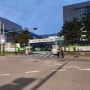 비슬고등학교 앞 이미지