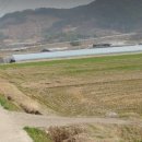 벌교사료 이미지