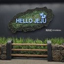 11월 제주도 여행 1~3DAY : 기억에서 휘발되기 전에 적는 5년 만의 제주