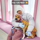 태양 동물병원 이미지