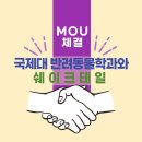 쉐이크테일