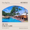 세종 다온숲 워터풀정자 이용 후기