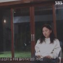 이효리 반려견 순심이가 죽기 전 보인 반응들 이미지