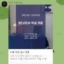 스플렌디노 이미지