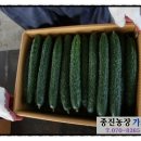 종진농장 네이버블로그