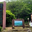 용대자연휴양림캠핑장 이미지