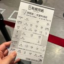 꼬치주까 | 오사카 3박4일 여행 3,4일차 / 이치란라멘 도톤보리, 코피말커피, 헵파이브관람차, 한큐백화점 쿠시카츠...