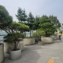 서울로7017(서울역고가도로공원)답사&amp;나홀로걷기 이미지