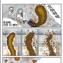 닥터-Q