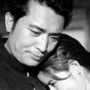 상록수로 이미지