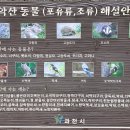 관악산에 서식하는 동물(포유류, 조류)과 곤충