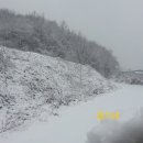 요동농장 이미지