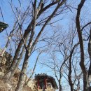 남양주 가볼만한 곳, 수종사 방문후기