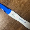얼리 | 슈얼리 1분 임테기 후기 & 얼리 임테기 사용시기 총정리
