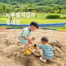 노루벌 | 대전 아이와 가볼만한 곳, 노루벌적십자생태원 모래놀이 하기 좋은 곳