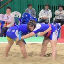 구례체육관 이미지