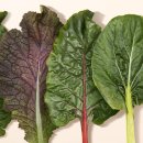 도시안한의원 이미지