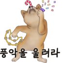번창카메라 이미지