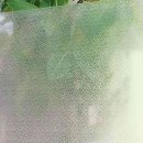 제이상사 이미지