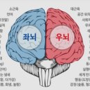 샤인음악학원 - 5132 | 샤인음악학원