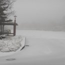 노루생태관찰원 이미지