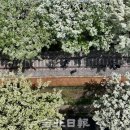 이팝 이미지