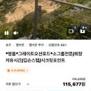 [멜버른 투어 추천] 그레이트 오션로드 내돈내산 헬기 투어 후기 (feat. 줌줌투어)
