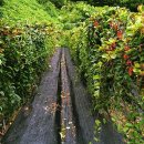 갈마농원 이미지