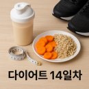 차와밥 | 다이어트 14일차 후기 – 밥이 그립고, 갈비탕의 유혹… 그러나 나는 운동으로 채운다