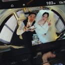다올플라워 - 사상구 엄궁로 158 | "W12"_대구웨딩밴후기__대구웨딩카__대구웨딩카업체__대구웨딩밴추천__올밴후기__