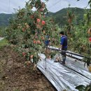 죽장면행정복지센터 이미지