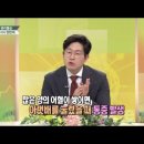 자인당한의원 네이버블로그