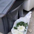 낄낄고양이 이미지