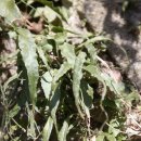 참새골약수터 이미지