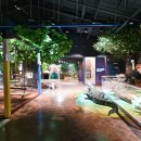 목재문화자연사체험관 이미지