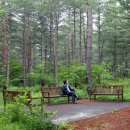 반딧불이 생태학교 이미지