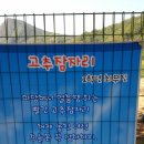 명호초등학교 이미지