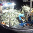 영덕청어과메기영어조합 이미지