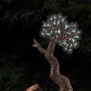 유기체 2019_8 이미지