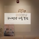 하이멍냥 강아지분양 고양이분양 서울본점 이미지