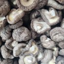 성보농원 이미지