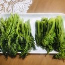 코로나 확진후 잃어버린 입맛을 찾았다. 강원도 홍천 다약 봄나물 4종(두릅,명이,곰취,눈개승마)