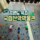 화진포정보화마을자판기 | 강원도 속초 국립산악박물관 / 무료 클라이밍체험 아이와 가볼만한곳 여행코스