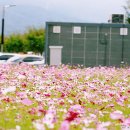 코스모스뷰티 이미지