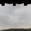 누리정 Daum카페