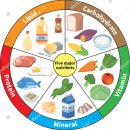 블랙맘바짐 이미지