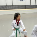 키즈태권도장 이미지